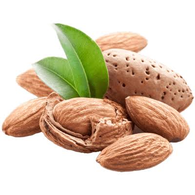 تصویر 5 از بادام سنگی مرغوب خرید به صرفه